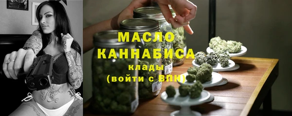 стаф Аркадак